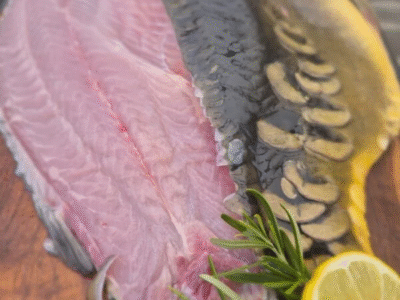 Gospodarstwo Rybackie Stawy