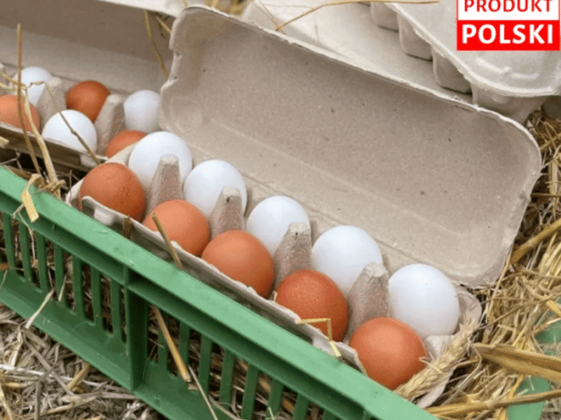 Dobra Manufaktura